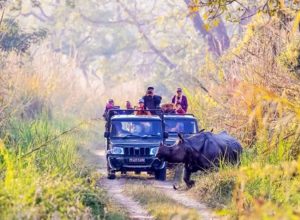 Chitwan Jungle Safari